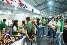 A Universidade Estadual do Estado do Pará expõe a Coleção Zoológica na 76° Feira Anual do SBPC - Foto: Sidney Oliveira/Ascom Uepa