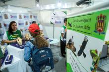 A Universidade Estadual do Estado do Pará expõe a Coleção Zoológica na 76° Feira Anual do SBPC - Foto: Sidney Oliveira/Ascom Uepa