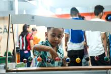 A Universidade Estadual do Estado do Pará expõe a Coleção Zoológica na 76° Feira Anual do SBPC - Foto: Sidney Oliveira/Ascom Uepa