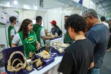 A Universidade Estadual do Estado do Pará expõe a Coleção Zoológica na 76° Feira Anual do SBPC - Foto: Sidney Oliveira/Ascom Uepa