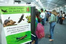 A Universidade Estadual do Estado do Pará expõe a Coleção Zoológica na 76° Feira Anual do SBPC - Foto: Sidney Oliveira/Ascom Uepa