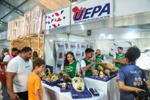 A Universidade Estadual do Estado do Pará expõe a Coleção Zoológica na 76° Feira Anual do SBPC - Foto: Sidney Oliveira/Ascom Uepa