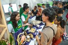 A Universidade Estadual do Estado do Pará expõe a Coleção Zoológica na 76° Feira Anual do SBPC - Foto: Sidney Oliveira/Ascom Uepa