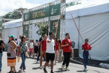 A Universidade Estadual do Estado do Pará expõe a Coleção Zoológica na 76° Feira Anual do SBPC - Foto: Sidney Oliveira/Ascom Uepa