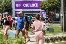 A Universidade Estadual do Estado do Pará expõe a Coleção Zoológica na 76° Feira Anual do SBPC - Foto: Sidney Oliveira/Ascom Uepa