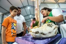 A Universidade Estadual do Estado do Pará expõe a Coleção Zoológica na 76° Feira Anual do SBPC - Foto: Sidney Oliveira/Ascom Uepa