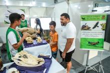 A Universidade Estadual do Estado do Pará expõe a Coleção Zoológica na 76° Feira Anual do SBPC - Foto: Sidney Oliveira/Ascom Uepa