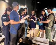 19ª Primavera dos Museus no CCPPA