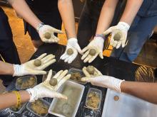 19ª Primavera dos Museus no CCPPA