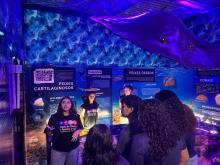 Planetário participa da 24ª Semana Nacional de Museus 