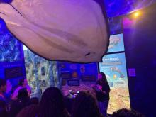 Planetário participa da 24ª Semana Nacional de Museus 