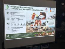 Dia do Químico 2026
