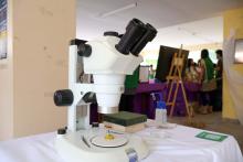 X Mostra Zoológica UEPA 2024