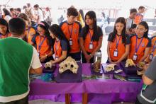 X Mostra Zoológica UEPA 2024