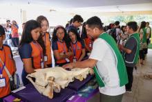 X Mostra Zoológica UEPA 2024