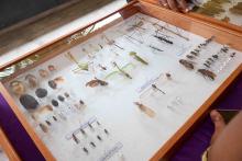 X Mostra Zoológica UEPA 2024