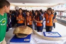 X Mostra Zoológica UEPA 2024