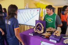 X Mostra Zoológica UEPA 2024