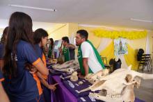 X Mostra Zoológica UEPA 2024