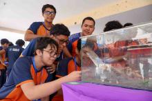 X Mostra Zoológica UEPA 2024