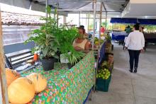A Feira da Reforma Agrária, oferece alimentos agroecológicos, plantas medicinais, artesanato, livros e produtos do MST. Foto: Sidney Oliveira/Ascom Uepa