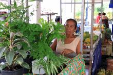 A Feira da Reforma Agrária, oferece alimentos agroecológicos, plantas medicinais, artesanato, livros e produtos do MST. Foto: Sidney Oliveira/Ascom Uepa