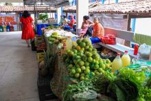 A Feira da Reforma Agrária, oferece alimentos agroecológicos, plantas medicinais, artesanato, livros e produtos do MST. Foto: Sidney Oliveira/Ascom Uepa