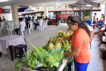 A Feira da Reforma Agrária, oferece alimentos agroecológicos, plantas medicinais, artesanato, livros e produtos do MST. Foto: Sidney Oliveira/Ascom Uepa