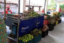A Feira da Reforma Agrária, oferece alimentos agroecológicos, plantas medicinais, artesanato, livros e produtos do MST. Foto: Sidney Oliveira/Ascom Uepa