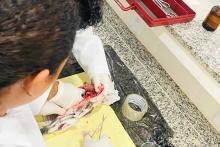 O Campus de Cametá da Uepa realizou o lll Simpósio de Integração Universitária do Baixo Tocantis, no período de 19 a 21 de setembro. Na ocasião, foi realizada a l Feira do empreendedor.